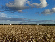 #3: South view