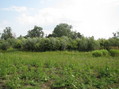 #5: Вид на Юг/South view
