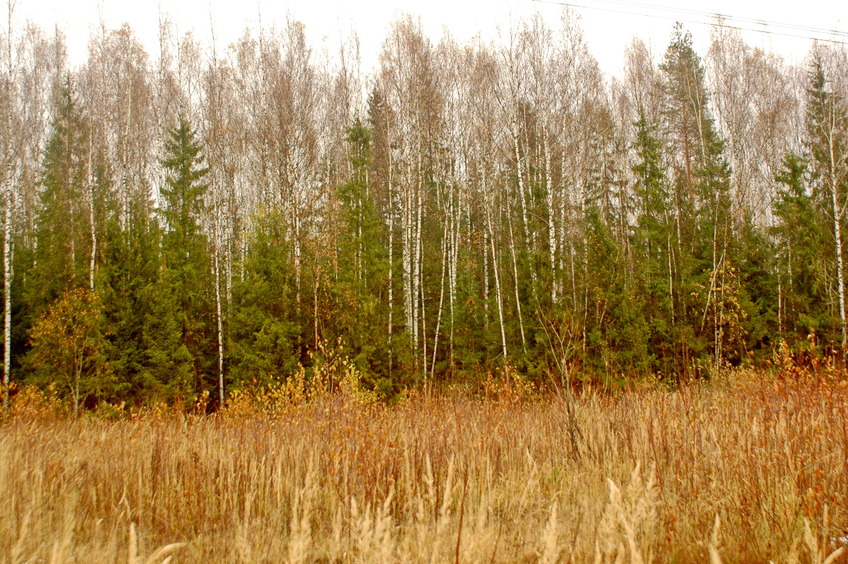 North-East view / На северо-восток