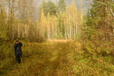 #7: After the rain / После дождя