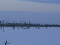 #2: North view