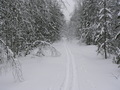 #7: Our ski-track