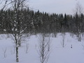 #2: North view