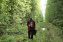 #10: Logger's path near the CP