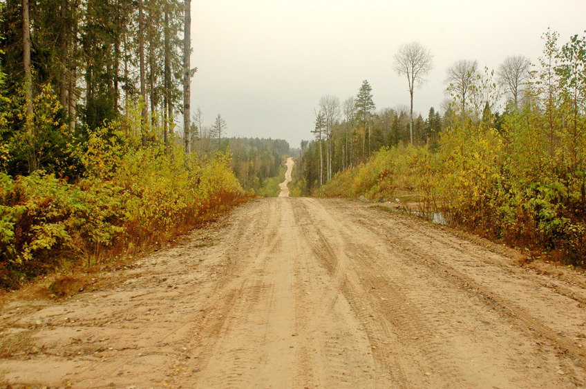 Road, 3 km from CP / Отсюда пошли пешком