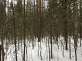 #2: View to the North