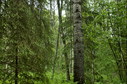 #2: North view