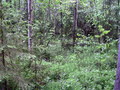 #3: South view