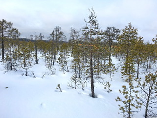 #1: The Confluence from 20 m distance
