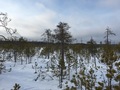 #4: View to the South