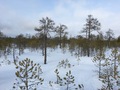 #5: View to the West