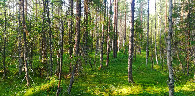 #4: View to the North