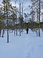 #12: You can only snowshoed through deep snow