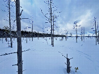 #2: View to the north