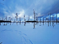 #3: View to the east
