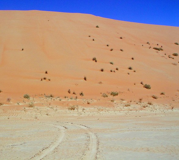 View looking north across a small portion of  the sabkha to a dune slip face approximately 100 feet (30 m) away. This portion of the dune has elevations greater than 500 feet (152 m) above sea level, while the elevation at the Confluence is 238 ft (73 m).