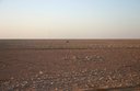 #2: Northerly view from the Confluence