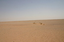 #3: Southern view