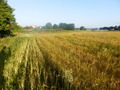 #3: View to the West