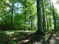 #4: View East