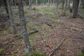 57°N 13°E preview image