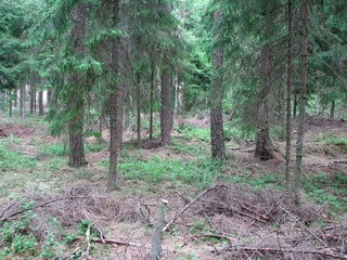 #1: View from Sout to North. CP in the dead centre of the picture.
