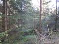 #3: East