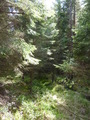 #3: View South