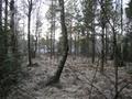 #5: West