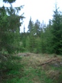 #2: View North