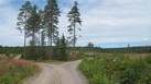 #8: Terrain close To CP 