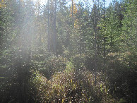 #3: Süden; view south