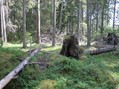 #3: East
