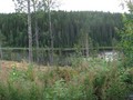 #9: Lake Langtjärnen