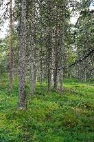 #3: View east