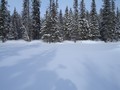#3: North