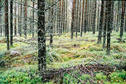 #3: View to the east