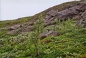 #3: View S