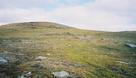 #3: View north from the confluence point.