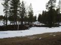 #9: The old border Västerbotten - Lappland
