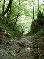 #4: The upper part of the little valley. The waterfall is behind the edge at which Basti stands. The picture is taken from the opposite side of picture #1.