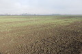 Visit #9: [26-Oct-14]
