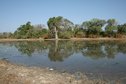 #8: Waterhole near the Confluence