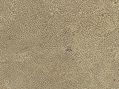 #9: Google Earth satellite view of the unusual landscape