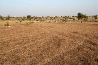 #1: Main view of the Confluence
