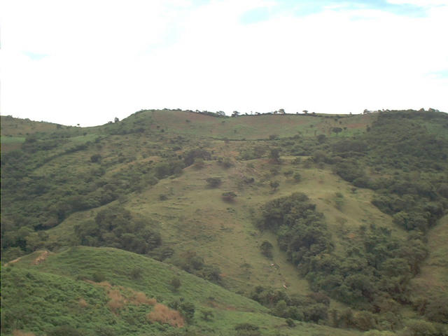 Southward view from the Confluence