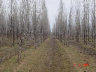 #1: General view