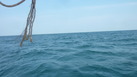 #3: View East