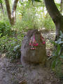 #4: Termite mound on the trail to the rice paddies that hold the confluence. Local villagers leave flowered offerings for good luck. Recent termite activity has “welded” the offerings into the mound.