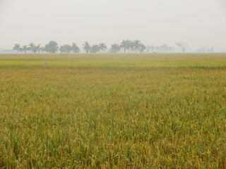 #1: The Confluence from 25 m distance